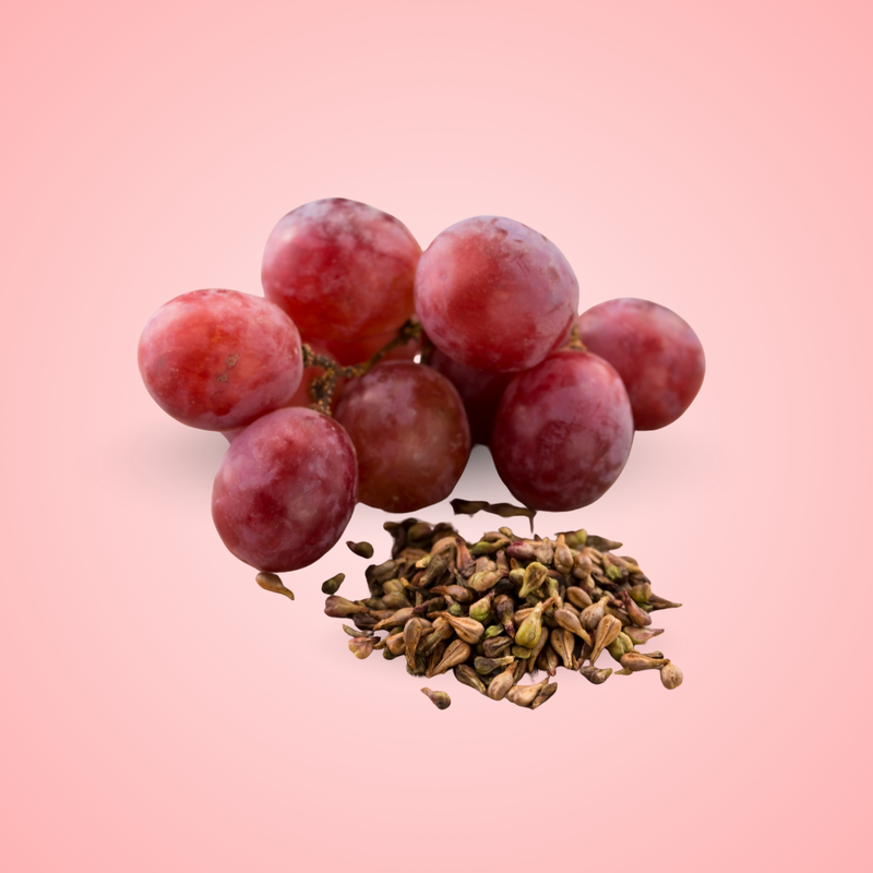 Grape Seed Extract
