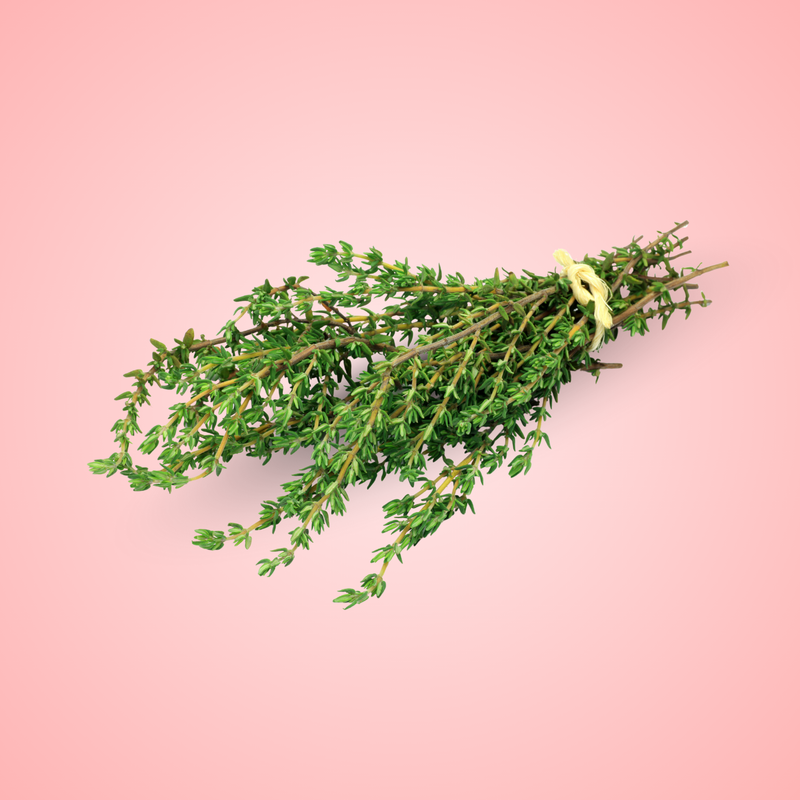 Thyme Oil