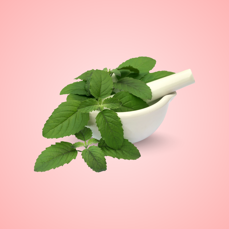 Neem Oil
