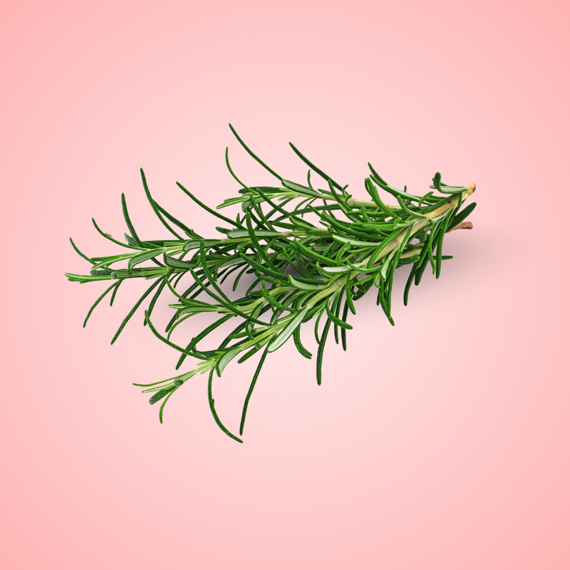 Rosemary Oil
