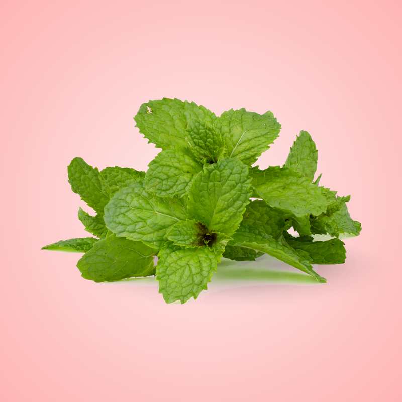 Peppermint Oil