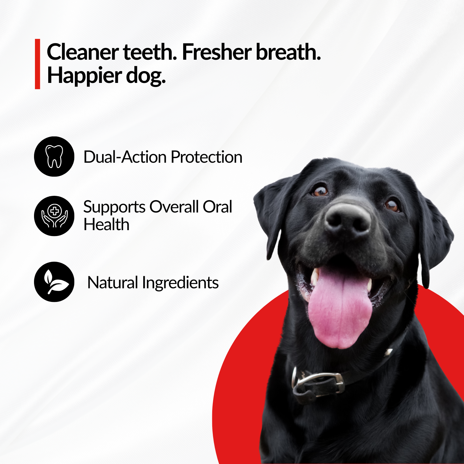Petzlife Oral Care Gel