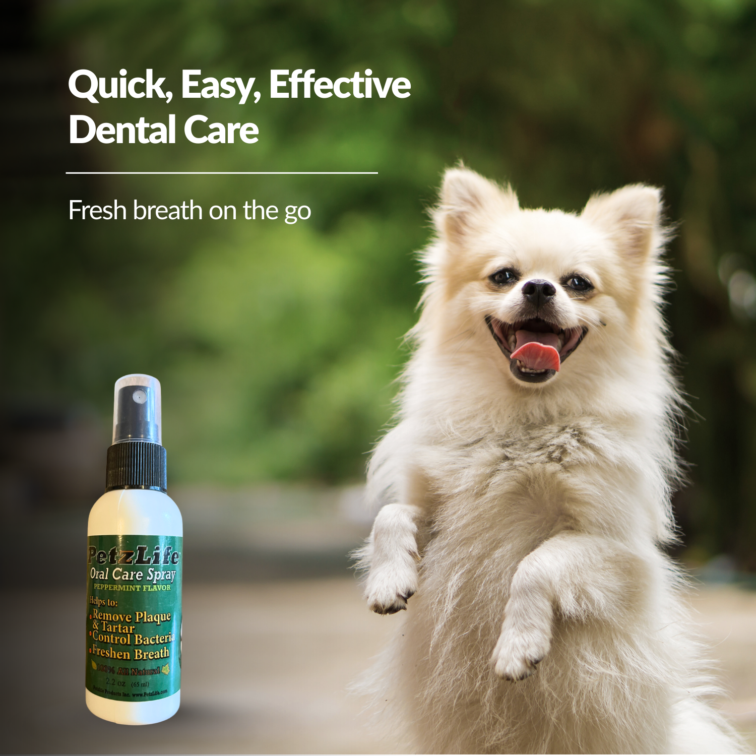 Petzlife Oral Care Spray
